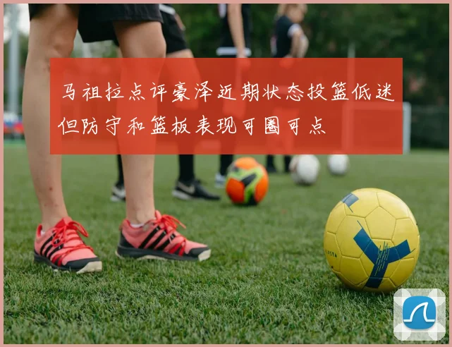 马祖拉点评豪泽近期状态投篮低迷但防守和篮板表现可圈可点