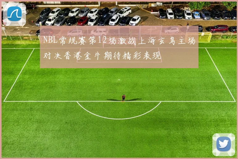 NBL常规赛第12场激战上海玄鸟主场对决香港金牛期待精彩表现
