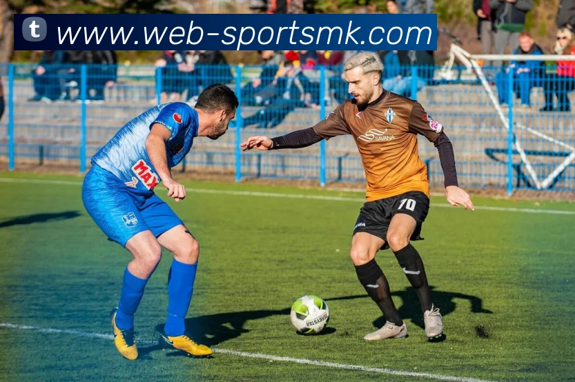 MK体育服务体系