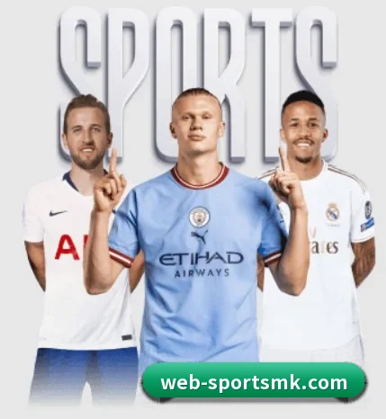 MK体育 APP(mksports)